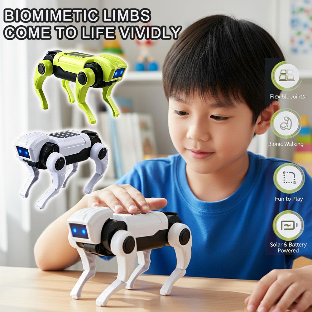 Mekanik Köpek Eğitici Deneyi:  - Electronics New Gadgets incelemesi ve fiyatı